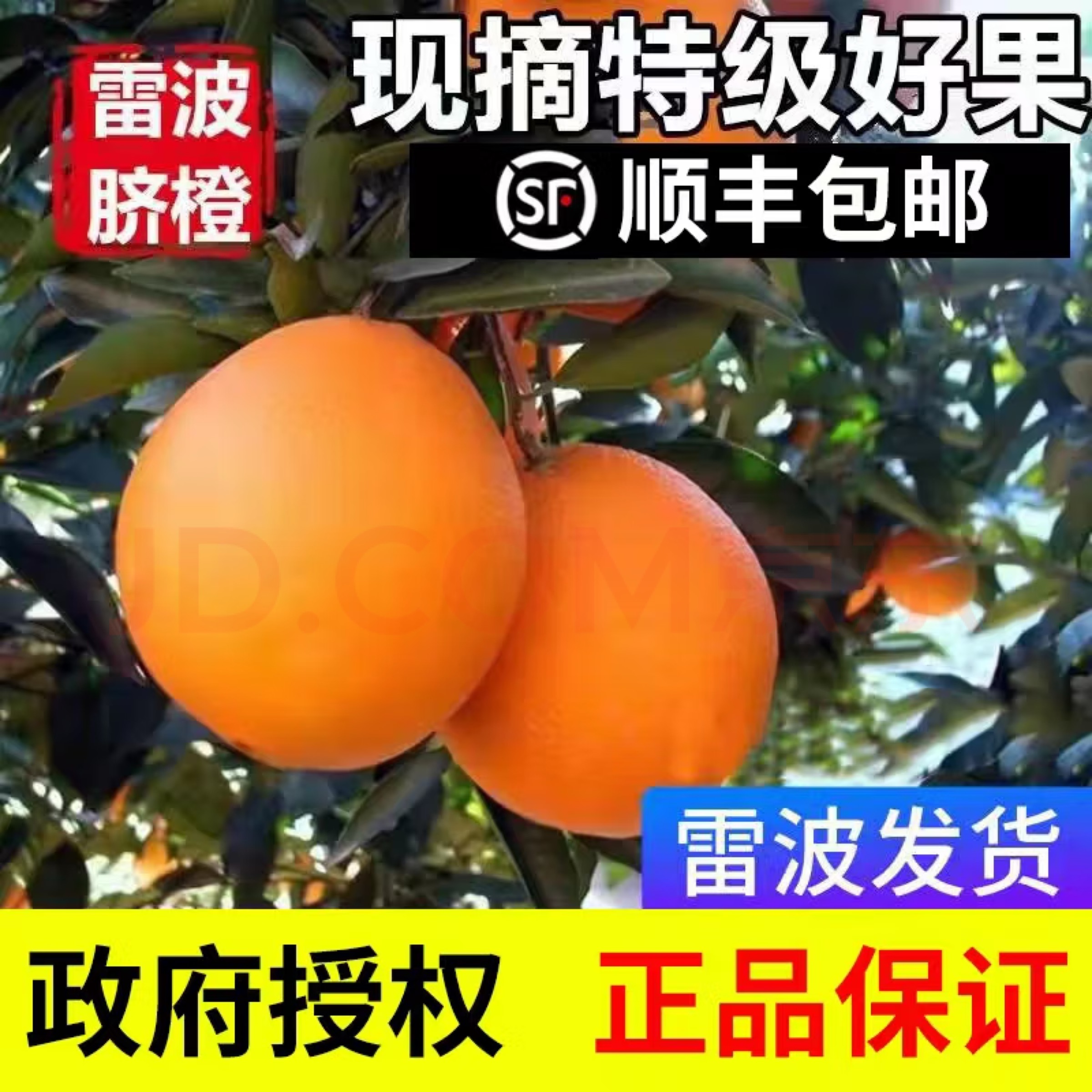 四川正宗大凉山雷波脐橙纯甜多汁新鲜水果家庭装礼盒装