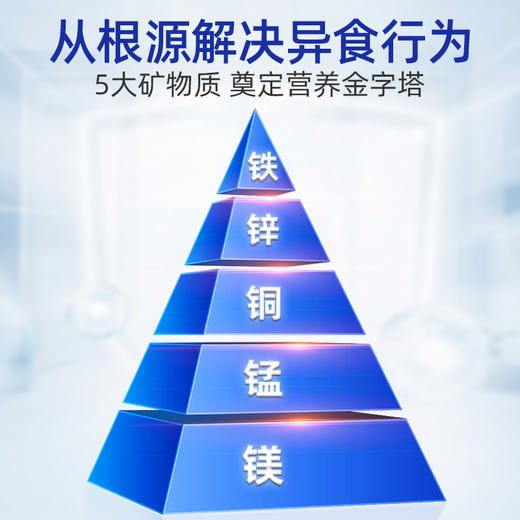 【MAG金维他犬用300片】 复合维生素微量元素片改善异食癖养护皮毛 商品图4