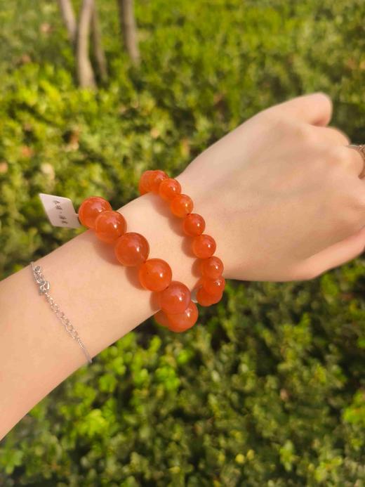 【春颂·海棠】 商品图5