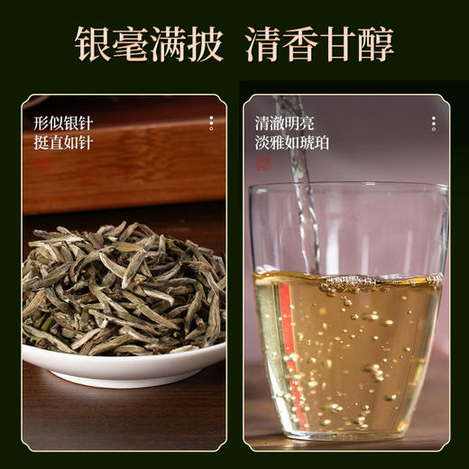 茶叶  白毫银针 福鼎白茶 小金罐 茶饮 五虎 70g 商品图1