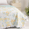 多喜爱 悦雅夏薄被/空调被（碧波花影）【浪漫花边】【全棉面料】【进口七孔纤维】斜纹织造 可机洗水洗 榈棉/印花 商品缩略图1