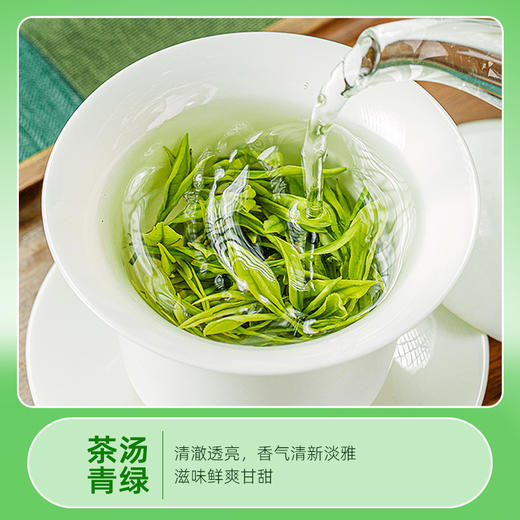 茶马世家2025新茶特级春茶恩施玉露明前蒸青绿茶75克 商品图3