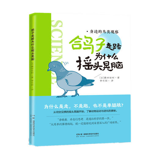 鸽子走路为什么摇头晃脑 商品图0