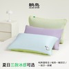 躺岛瓜瓜温和凉感枕套双面凉感即可凉感家用枕头套夏凉枕套全棉枕芯套 商品缩略图0