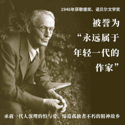 黑塞经典：德米安：彷徨少年时 | 几代西方青年抵抗世界的孤独之书 商品图1