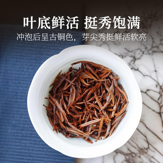 泥巴哥精品金骏眉红茶蜜香功夫茶叶全芽金芽特级好茶200g罐装 商品图2
