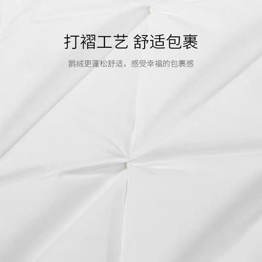 巴尔蒂尼鹅绒枕H2 商品图1