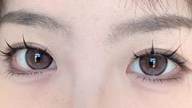 bariecat日抛美瞳 榛果小姐 14.5mm