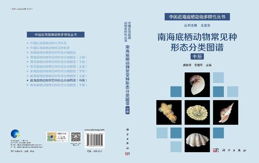 南海底栖动物常见种形态分类图谱（中册） 商品图3