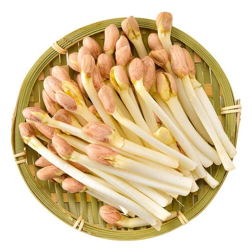 花生芽 250g/份 商品图3