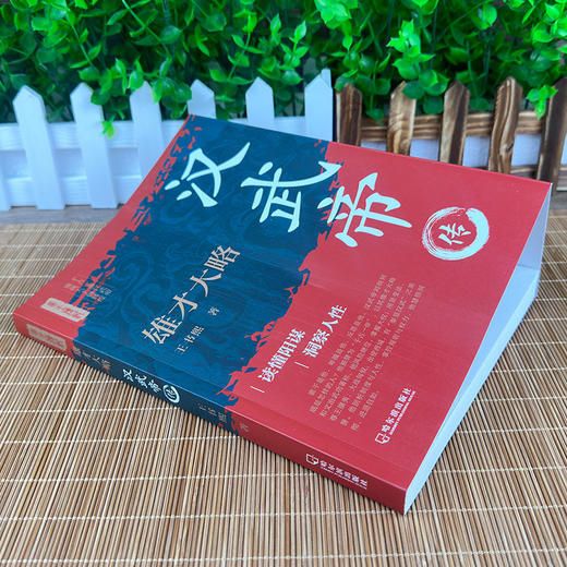 雄才大略:汉武帝传 商品图1