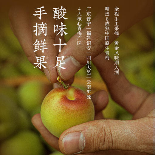 梅见 原味梅酒 12度750ml 商品图4