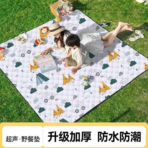 小恐龙超声波加厚野餐垫 厚实好棉5MM加厚 度假双层铝膜 户外地垫便携防潮防水野炊露营草坪地垫防潮垫 商品图1