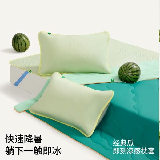 躺岛瓜瓜温和凉感枕套双面凉感即可凉感家用枕头套夏凉枕套全棉枕芯套 商品图2