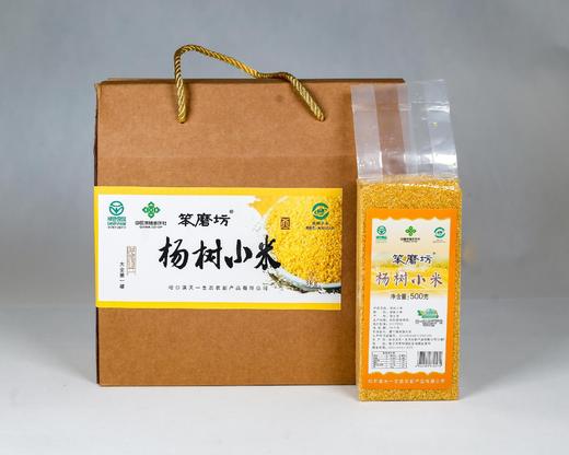 笨磨坊杨树小米500g/袋*6袋/箱 商品图0