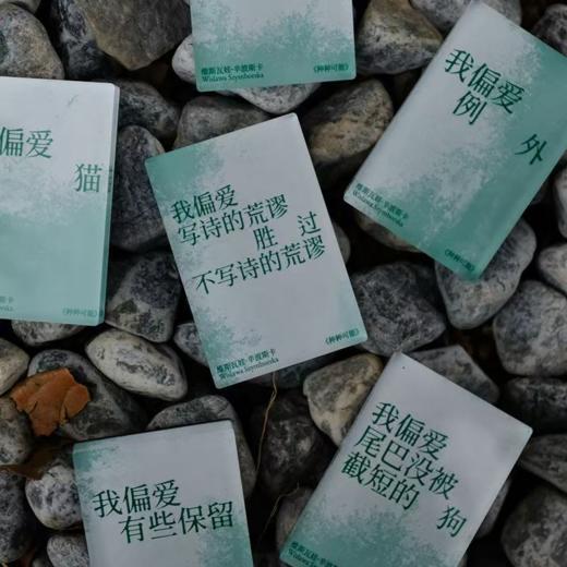 单向空间 「大师穿过单向街」辛波斯卡冰箱贴-我偏爱 例外 商品图0