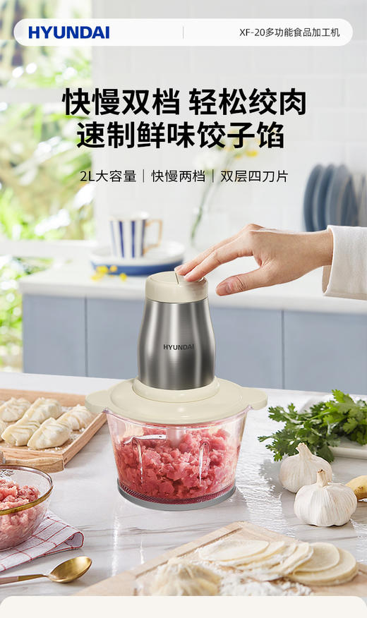 【直发】现代HYUNDAI绞肉机XF-20 商品图0