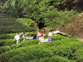 武夷山-桐木关问茶之旅（5月1日-5日）