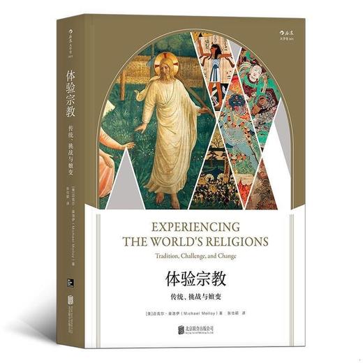 【微瑕】大学堂丛书065:体验宗教：传统、挑战与嬗变（美）迈克尔·莫洛伊 著 商品图0