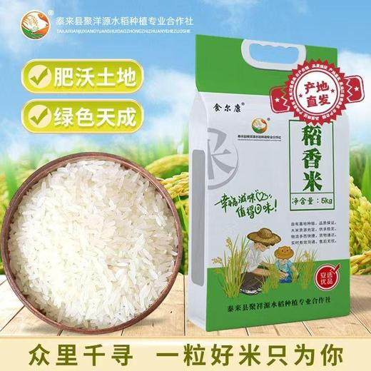 食尔康稻香米5kg/袋 商品图0