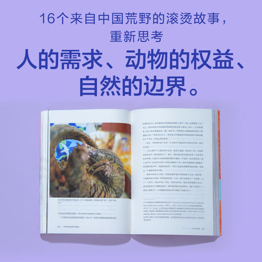 我不能在鸟兽身旁只是悲伤 商品图4