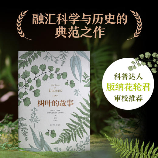 【天际线】树叶的故事（解读树梢上的绚丽奇迹，讲述50种树叶背后的文化传奇。科普达人版纳花轮君审校推荐，内含精美全彩插图） 商品图0