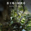 薄荷塘、白茶园、茶王树 散茶品鉴装 拍5发6 普洱 生茶 50g 散茶【森之美】 商品缩略图4