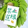 禁止蕉绿 可食用 小米蕉整串带杆 水培香蕉观赏绿植 商品缩略图1