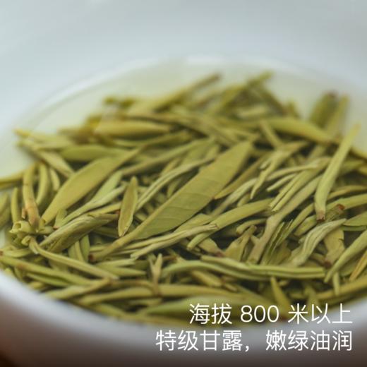 【清仓折扣】明前蒙顶甘露 40g/罐 嫩香馥郁 味醇回甘 商品图1