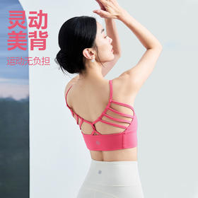 FA102镂空美背V领BRA