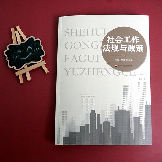社会工作法规与政策 商品图1