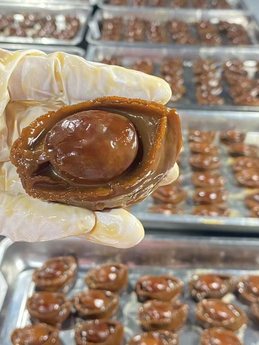 【健康丹品】黄金鲍鱼15头【呼啦优选】海家福 商品图2