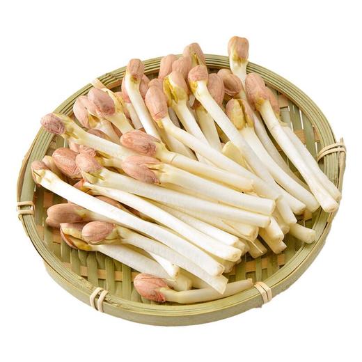 花生芽 250g/份 商品图4