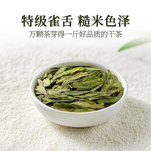 2026新茶泥巴哥精品龙井绿茶炒青豆香明前茶100g*2罐 商品图1