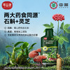 可益康灵芝石斛原液植物饮料 石斛原液添加量≥90% 温和盈润  清新爽口  25ml*7袋*1盒 商品缩略图3
