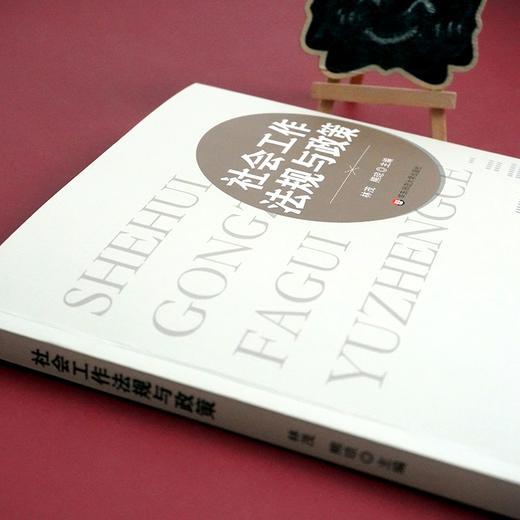 社会工作法规与政策 商品图2