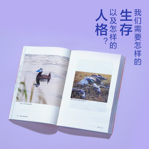 我不能在鸟兽身旁只是悲伤 商品图3