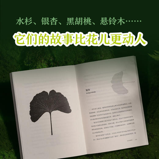 【天际线】树叶的故事（解读树梢上的绚丽奇迹，讲述50种树叶背后的文化传奇。科普达人版纳花轮君审校推荐，内含精美全彩插图） 商品图3
