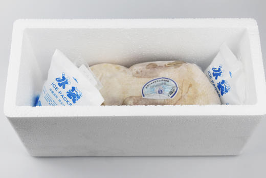 连城白鹭鸭 商品图6