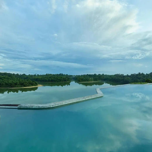 4天3晚【新加坡万态雨林悦榕庄 | Mandai Rainforest Resort by Banyan Tree | 实时代订】位于万态野生动物世界，步行直达新加坡四大动物园！ 商品图7