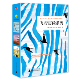 【独秀书香卡】神秘岛 飞行历险系列（全3册）来自天空的召唤+后抵达的鹳鸟+吵架大王的冒险 圭多孔蒂 著  8~14岁及以上  广西师范大学出版社