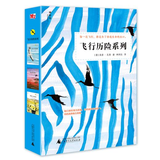 【独秀书香卡】神秘岛 飞行历险系列（全3册）来自天空的召唤+后抵达的鹳鸟+吵架大王的冒险 圭多孔蒂 著  8~14岁及以上  广西师范大学出版社 商品图0