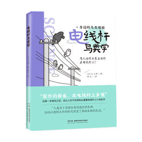 电线杆鸟类学