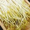 金丝柳苗 200g/份 商品缩略图1