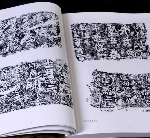 绝版！！书法田野考察成果集两种：《千唐志斋六十品卷》+《龙门造像题记》，16开，铜版纸印刷，王镛主编，河北美术出版社2008年一版一印，276元，售价78元。品95成。 商品图7