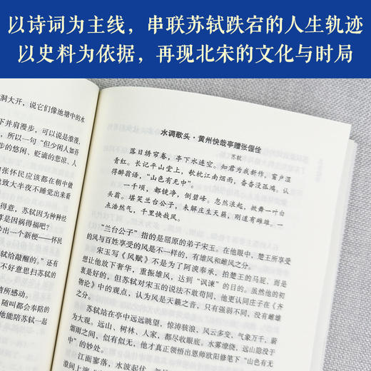 苏东坡传 商品图3