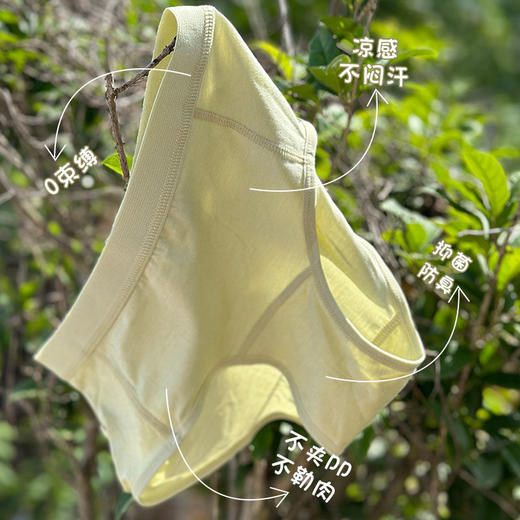 [3条装]灰壳 女美丽诺羊毛天丝凉感内裤AAA级抗菌防臭运动速干短裤弹力三角裤 商品图3