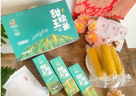 劉黏鲜食玉米10棒/箱