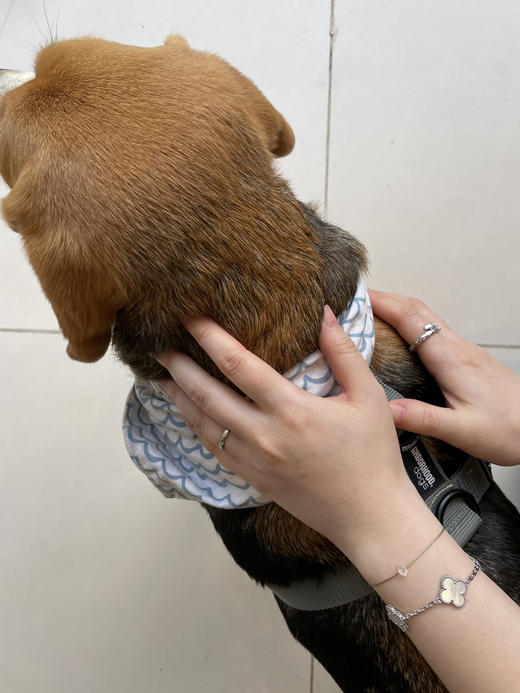 Project Lazarus | Elements 金 木 水 火 土 【6-7mm赫基蒙钻 五行元素幸运手绳】 商品图1