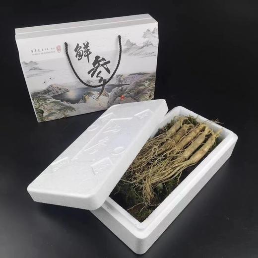 【长白山6年鲜人参】纯天然原生态 无农残 参中上品 商品图0